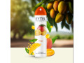 desodorissant-eytel-300ml-small-11